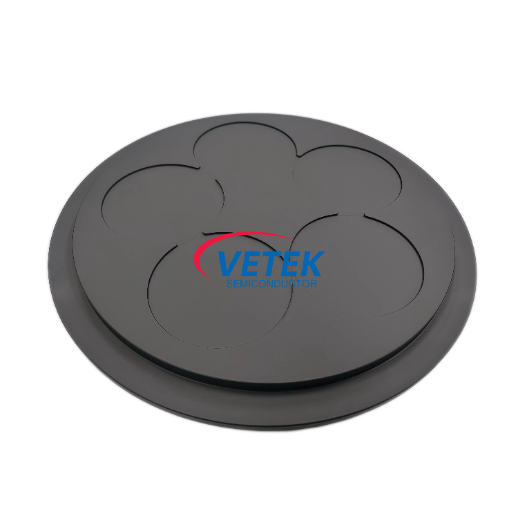 CVD SiC Coated Graphite Susceptor para sa Wafer Carrier