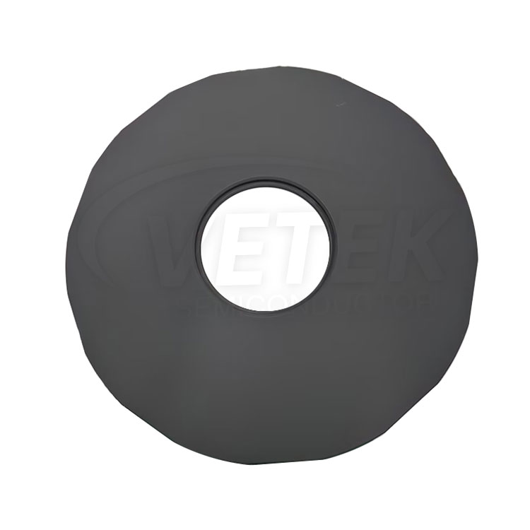 SIC Coated Support para sa LPE PE2061S