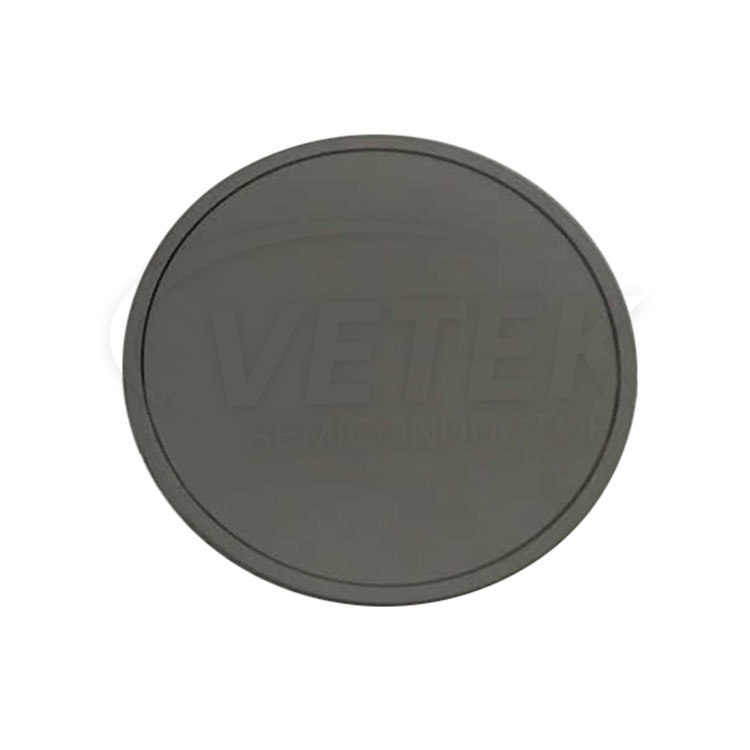 Sic coating set disc
