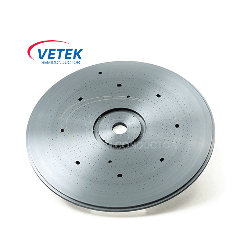 Silicon carbide shower head