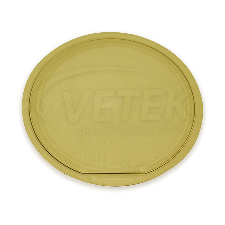 TAC Coated Graphite Wafer Carrier